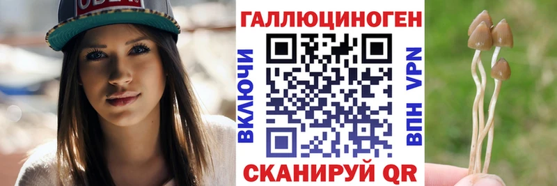 Псилоцибиновые грибы MAGIC MUSHROOMS Протвино