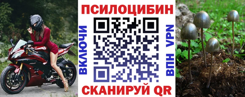 Купить где Протвино Галлюциногенные грибы Cubensis